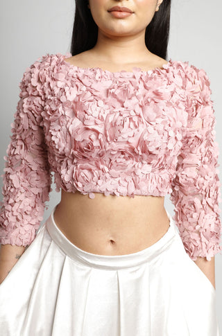 Petal Boat Neck Crop Top in Blush